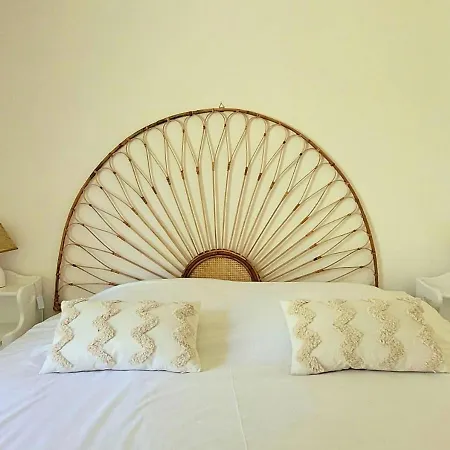 Roses - D'architecte De Plain-pied